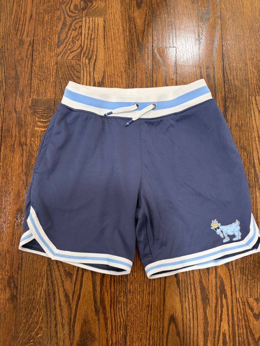 GOAT USA Kids Mesh shorts in size XL